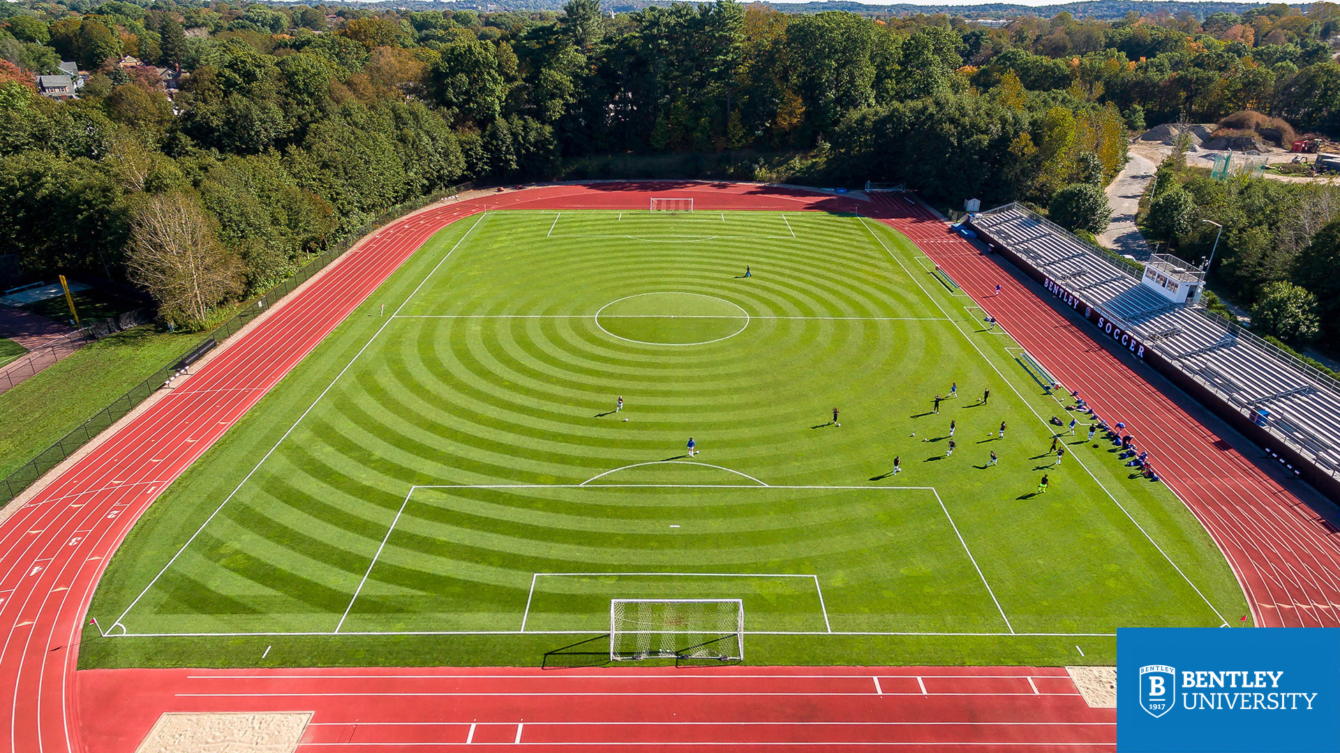 Football Field Zoom Background